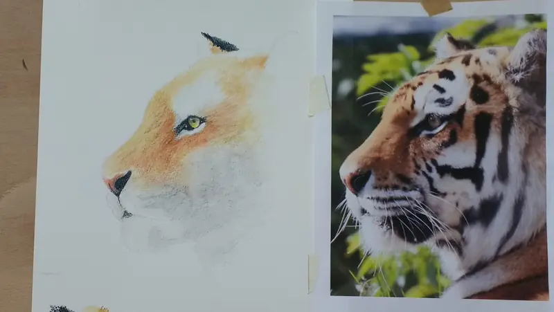 A big cat worked in watercolour beside its reference photograph